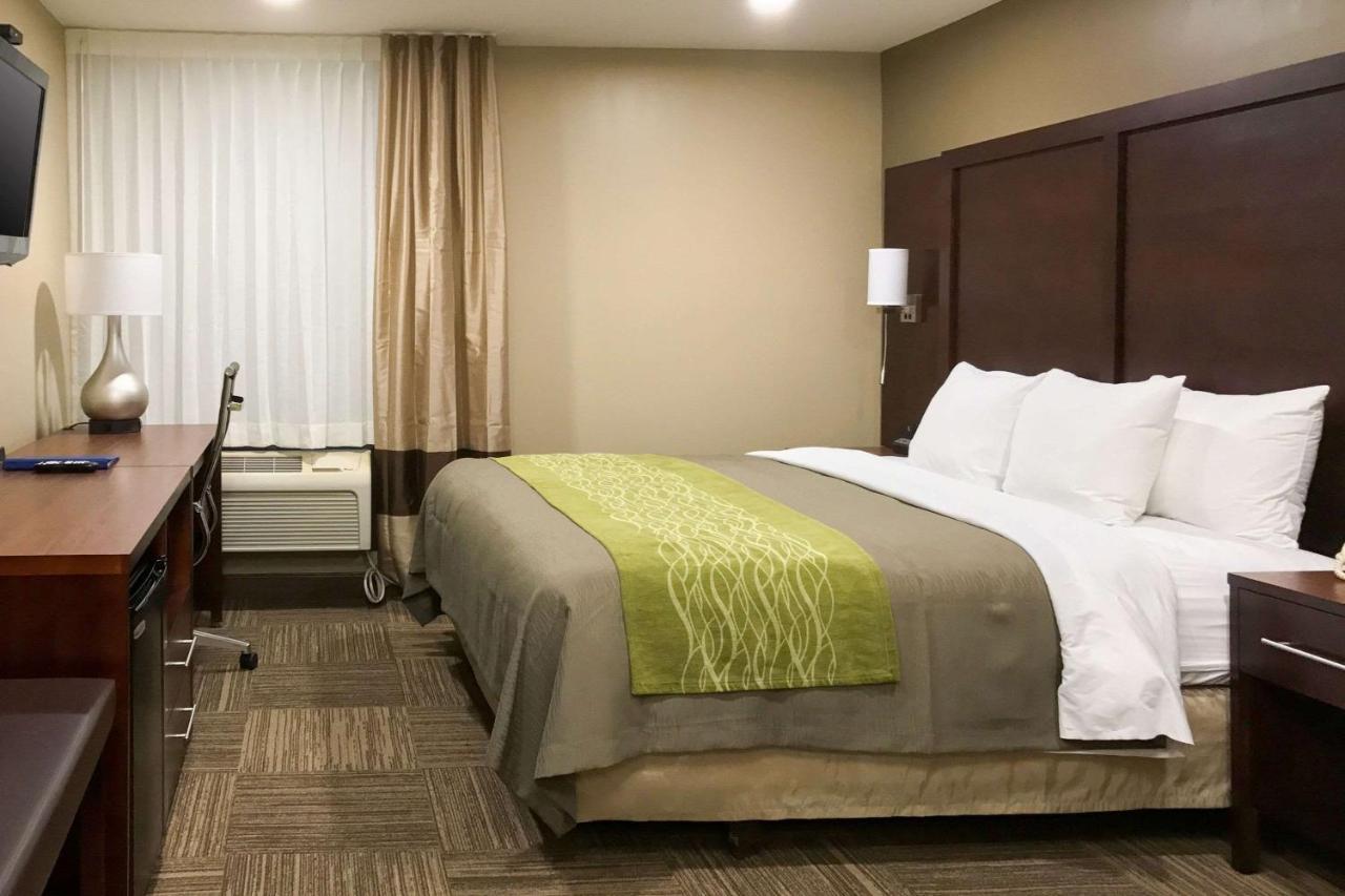 Giles Hotel Inn And Suites Pulaski エクステリア 写真