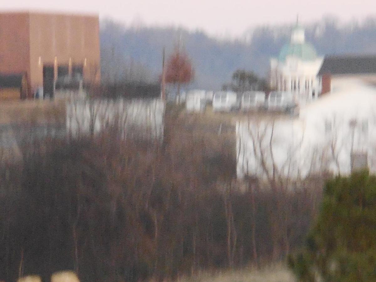 Giles Hotel Inn And Suites Pulaski エクステリア 写真
